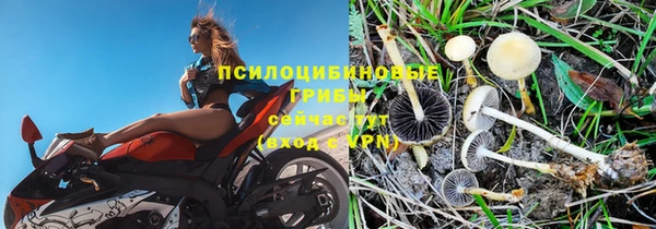 a pvp Волоколамск