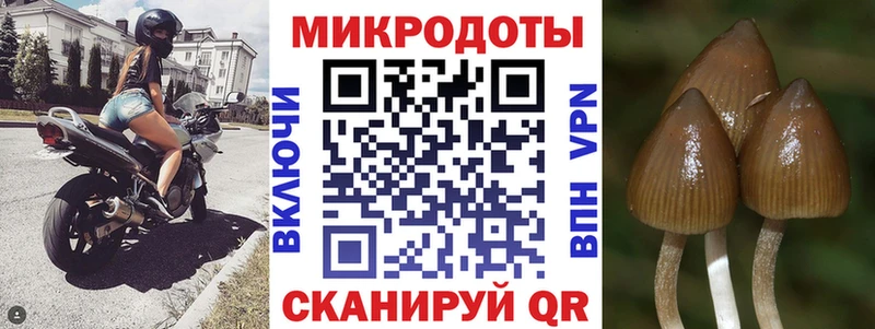 блэк спрут рабочий сайт  Южно-Сухокумск  Галлюциногенные грибы мухоморы  это Telegram  где купить наркотик 